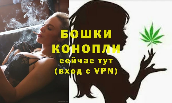 амф Осинники