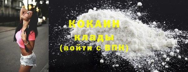 амф Осинники