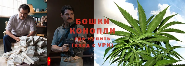 амф Осинники