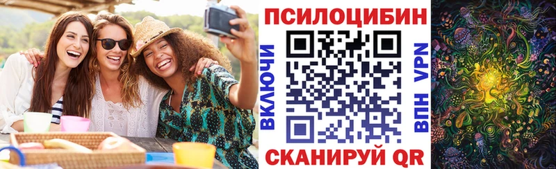 Псилоцибиновые грибы мухоморы  сайты даркнета формула  Рыльск 