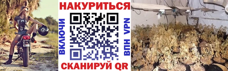 Марихуана AK-47  Рыльск 